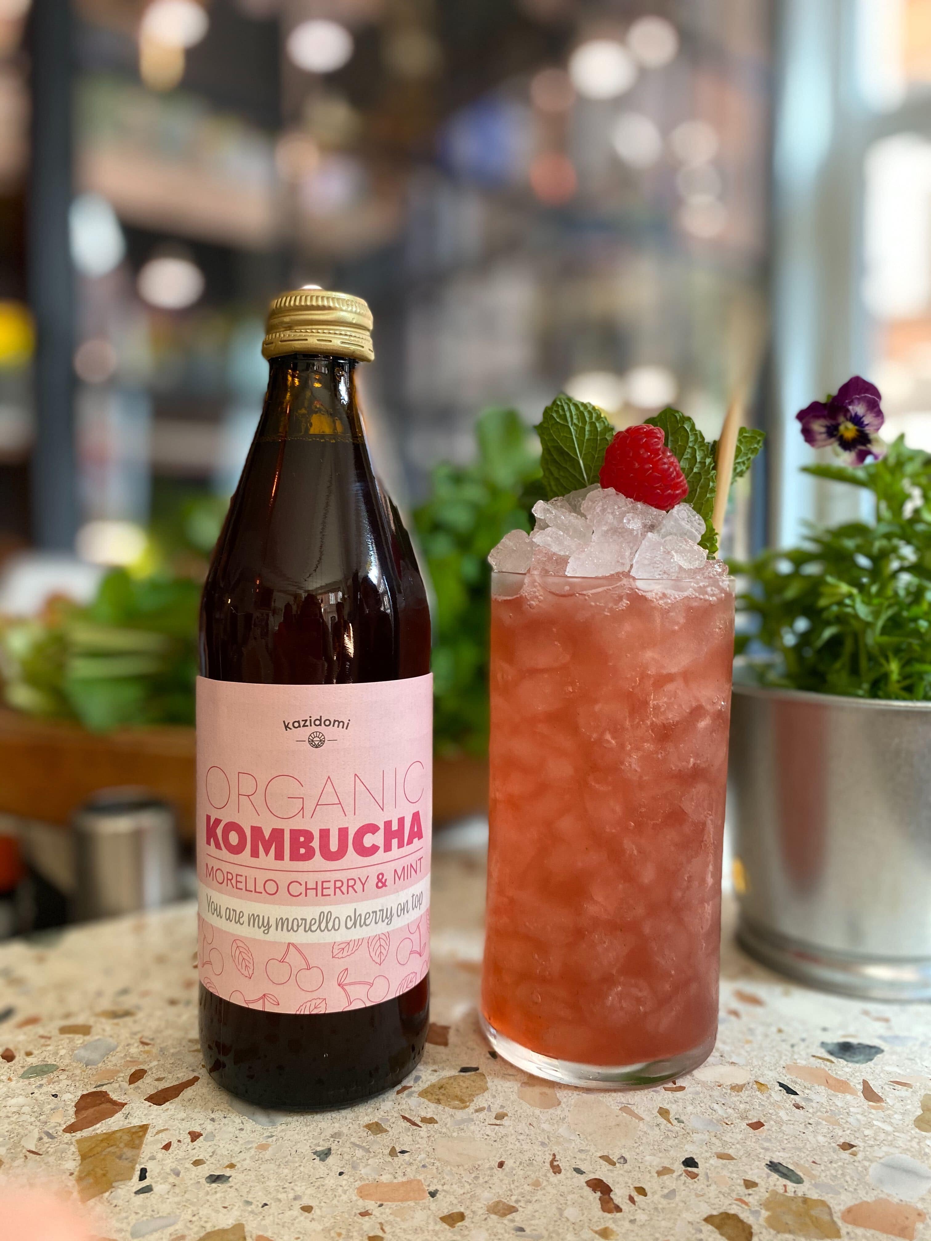 kombucha griottes et menthe bio